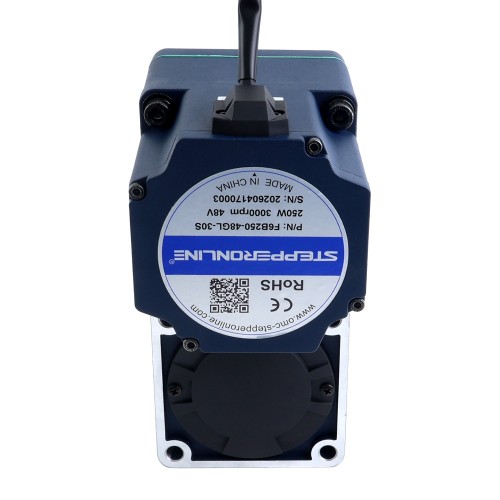 48V 250W 20RPM 70,00Nm(9912,82oz.in) Bezszczotkowy silnik prądu stałego z przekładnią 150:1 z wałem drążonym przekładnią równoległą - F6B250-48GL-30S/6GL150RC | StepperOnline UK