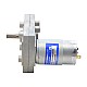 Szczotkowany silnik z przekładnią 12V DC60Kg.cm/3.5RPM w/ 1166:1 Przekładnia prostokątna