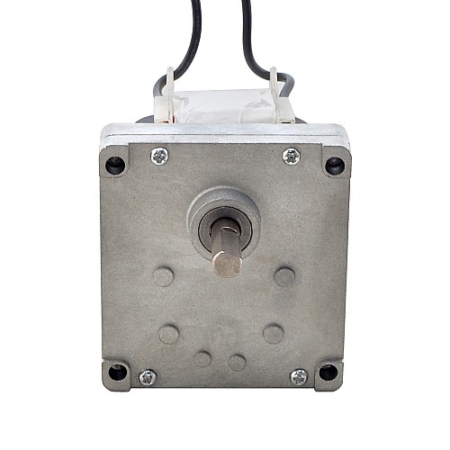 Szczotkowany silnik z przekładnią 110V AC50Kg.cm/7.8RPM w/ 392:1 Przekładnia prostokątna