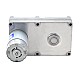 Szczotkowany silnik z przekładnią 12V DC100Kg.cm/3.3RPM w/ 1269:1 Przekładnia prostokątna