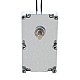 Szczotkowany silnik z przekładnią 110V AC100Kg.cm/5.5RPM w/ 590:1 Przekładnia prostokątna
