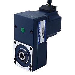 24V 40W 20RPM 13,00Nm(1840,95oz.in) Silnik BLDC z przekładnią 150:1 z wałem drążonym przekładnią równoległą