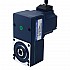 24V 40W 20RPM 13,00Nm(1840,95oz.in) Silnik BLDC z przekładnią 150:1 z wałem drążonym przekładnią równoległą