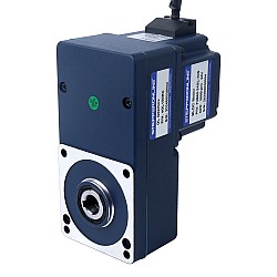 24V 60W 20RPM 21,00Nm(2973,84oz.in) Silnik BLDC z przekładnią 150:1 z wałem drążonym przekładnią równoległą