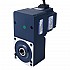 24V 150W 20RPM 50,00Nm(7080,58oz.in) Silnik BLDC z przekładnią 150:1 z wałem drążonym przekładnią równoległą