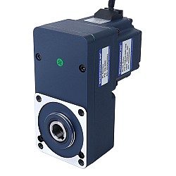 24V 150W 100RPM 10,50Nm(1486,92oz.in) Silnik BLDC z przekładnią 30:1 z wałem drążonym przekładnią równoległą