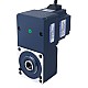 24V 150W 100RPM 10,50Nm(1486,92oz.in) Bezszczotkowy silnik prądu stałego z przekładnią 30:1 z wałem drążonym przekładnią równoległą - F55B150-24GL-30S/5GL30RC | StepperOnline UK