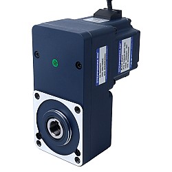 48V 150W 20RPM 50,00Nm(7080,58oz.in) Silnik BLDC z przekładnią 150:1 z wałem drążonym przekładnią równoległą