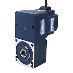48V 150W 100RPM 10,50Nm(1486,92oz.in) Silnik BLDC z przekładnią 30:1 z wałem drążonym przekładnią równoległą