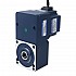 48V 150W 100RPM 10,50Nm(1486,92oz.in) Silnik BLDC z przekładnią 30:1 z wałem drążonym przekładnią równoległą