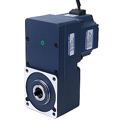 48V 250W 20RPM 70,00Nm(9912,82oz.in) Silnik BLDC z przekładnią 150:1 z wałem drążonym przekładnią równoległą