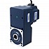 48V 250W 20RPM 70,00Nm(9912,82oz.in) Silnik BLDC z przekładnią 150:1 z wałem drążonym przekładnią równoległą