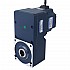 48V 250W 100RPM 20,00Nm(2832,23oz.in) Silnik BLDC z przekładnią 30:1 z wałem drążonym przekładnią równoległą
