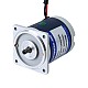 Szczotkowany 24V 10W 0,26Nm(36,82oz.in) 300RPM z silnikiem z przekładnią zębatą czołową 10:1 na prąd stały - F2D10-24GN-30S/2GN10K | StepperOnline