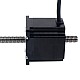 Nema 23 Non-captive 56mm Stos 2.0A Przewód 2mm(0.07874") Długość 355mm - 23N22S2004AJ4-355RS | StepperOnline